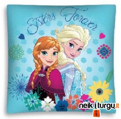Dekoratyvinė pagalvėlė frozen Dekoratyvinė pagalvėlė frozen