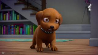 Svajonių namų šuniukų pasaka Svajonių namų šuniukų pasaka