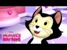 Minnie Mouse Parduotuvėlė<br/>Figaro draugas